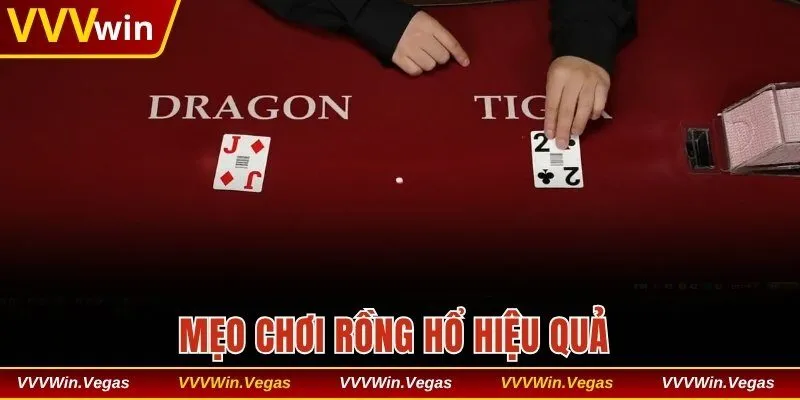 Mẹo chơi Rồng Hổ hiệu quả